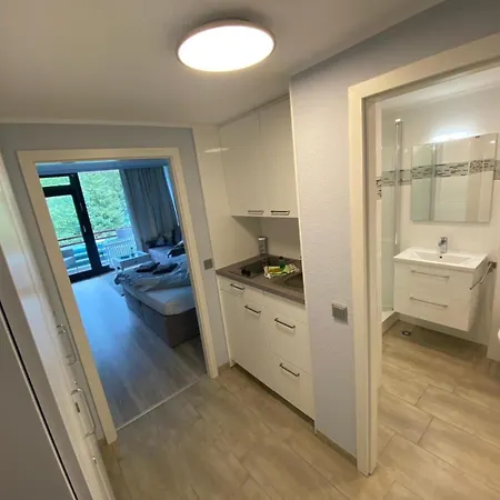 Apartment Hahnenklee Mit Bergblick 347 Goslar