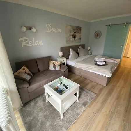 Hahnenklee Mit Bergblick 347 Apartment *